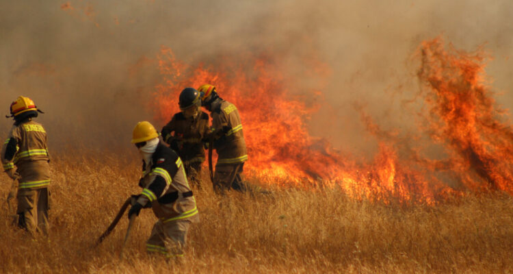 Senapred declara Alerta Roja para la comuna de Lampa por incendio forestal