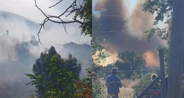 Declaran Alerta Roja en Melipilla por incendio forestal: CONAF y Bomberos combaten el siniestro