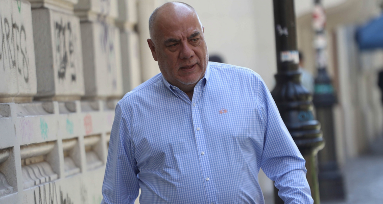 andrade proyecto dominga