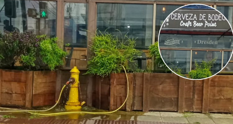 Denuncian a restaurante que usurpaba agua de grifo para regar sus plantas en Puerto Montt