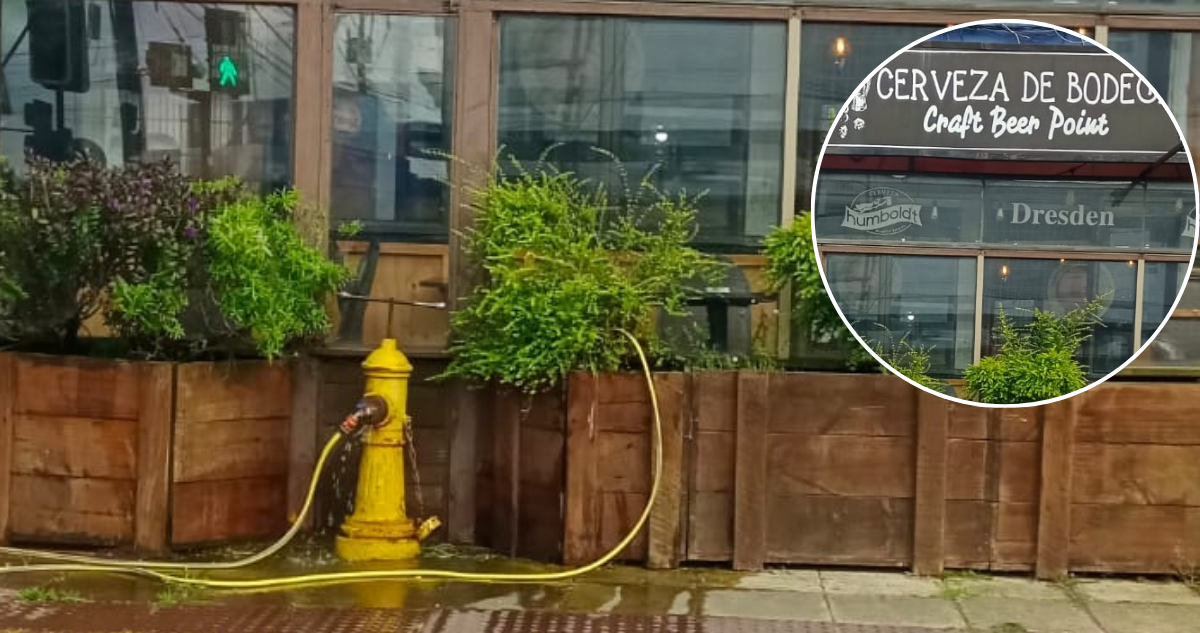 Denuncian a restaurante que usurpaba agua de grifo para regar sus plantas en Puerto Montt