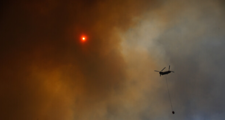 Inician diligencias por reciente incendio forestal en Los Álamos: hallaron velas en predio afectado