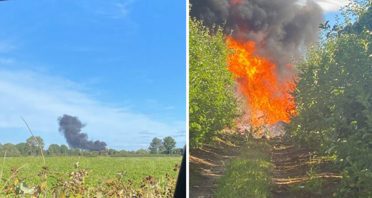 Región de La Araucanía: reportan caída de avioneta con tres tripulantes en comuna de Freire