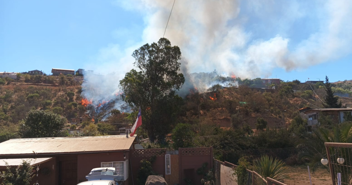 Senapred pide evacuar sector Las Cabras en Villa Alemana por incendio forestal