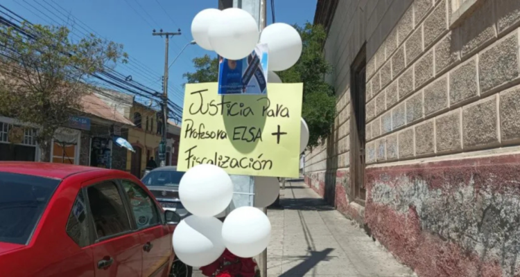 atropello fatal profesora la serena