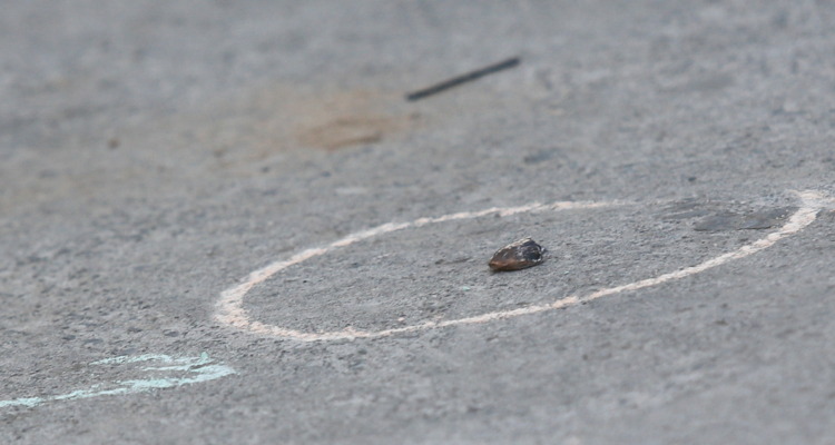 Casquillo de bala por hombres baleados en Panguipulli