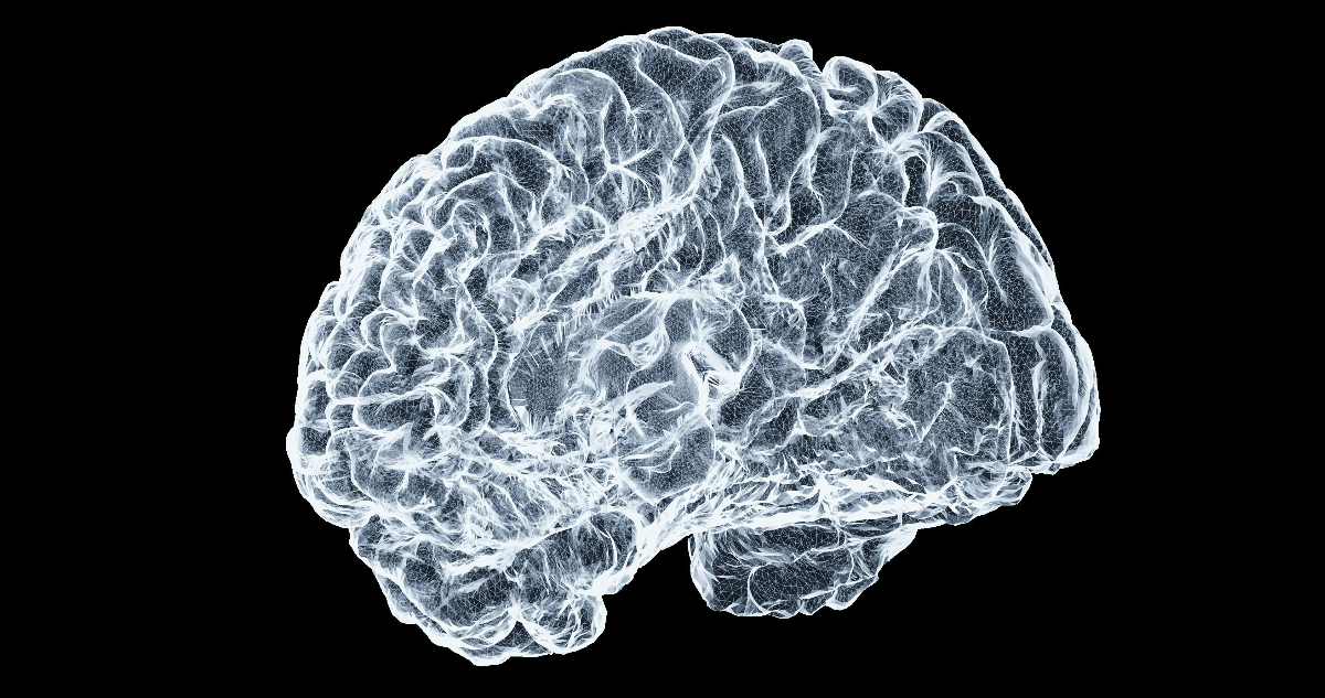 Cerebro