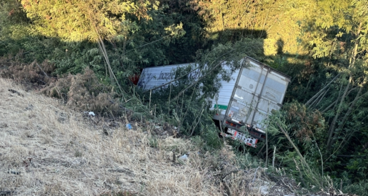 Camión cae más de 20 metros en bypass de Temuco: conductor resultó policontuso