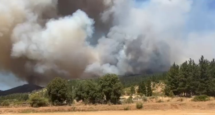 Una vivienda afectada y al menos 1.200 hectáreas arrasadas deja incendio forestal en San Javier