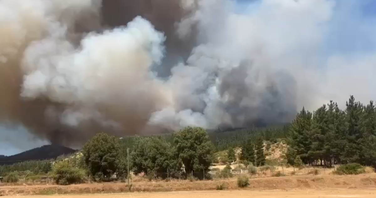 Una vivienda afectada y al menos 1.200 hectáreas arrasadas deja incendio forestal en San Javier