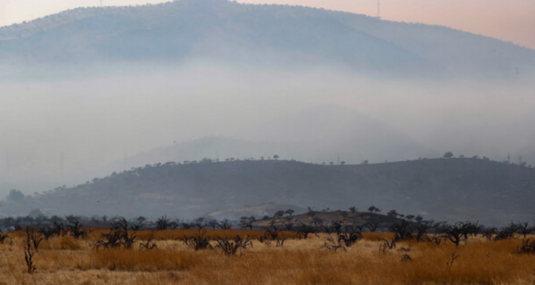 Región de Los Ríos bajo Alerta Temprana Preventiva por amenaza de incendios forestales y calor