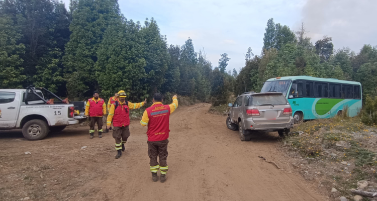 Senapred declara Alerta Roja en Ancud por incendio forestal