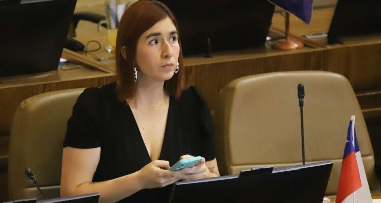 Piden suspender de comisiones a diputada Pérez mientras dure investigación por caso Democracia Viva