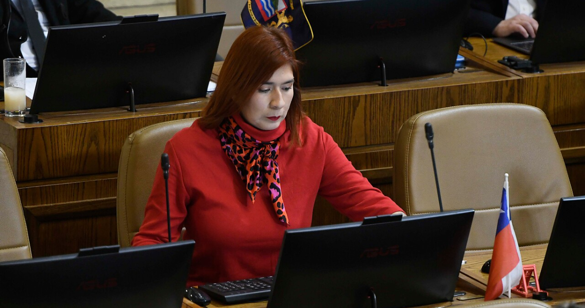 Diputados de oposición apuntan a Catalina Pérez por chats con Andrade: “Debe enfrentar a la justicia”