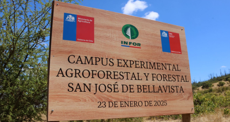 Inaguran primer Centro Experimental Regional de Agroforestería en Ñuble