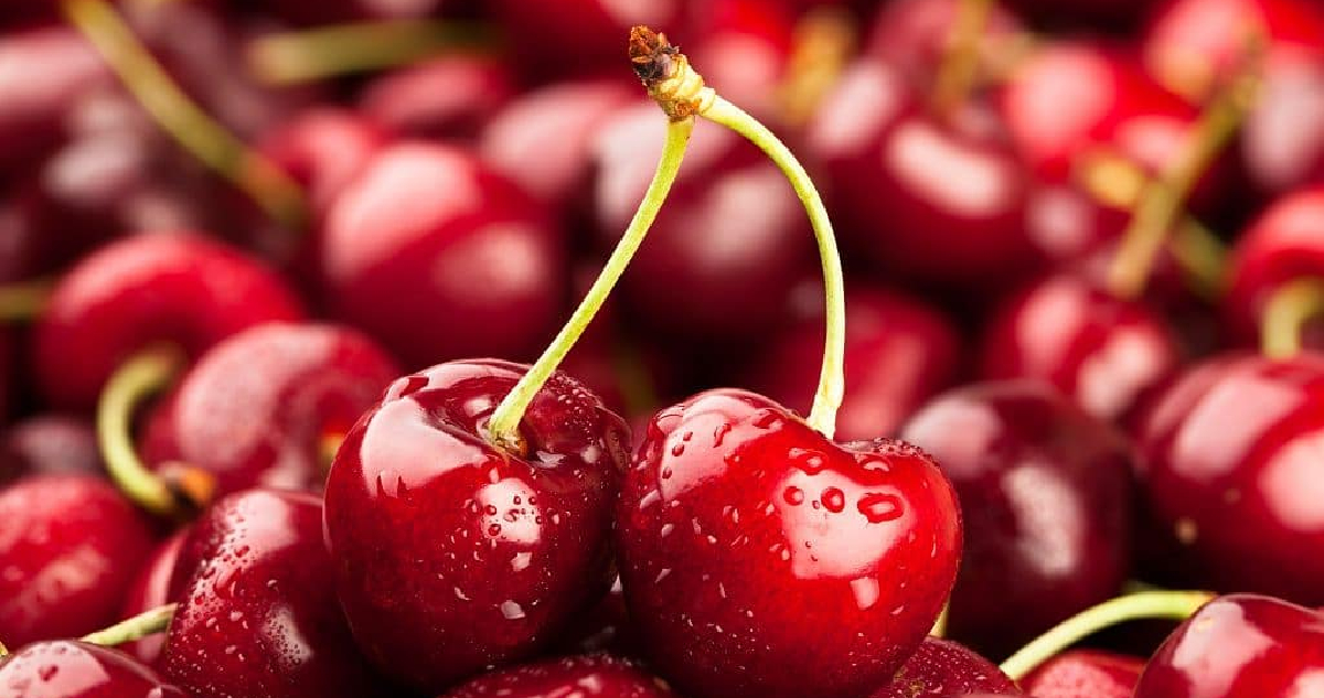 La “ola” de cereza chilena ha bajado los precios del fruto en China: llaman a abrirse a nuevos países