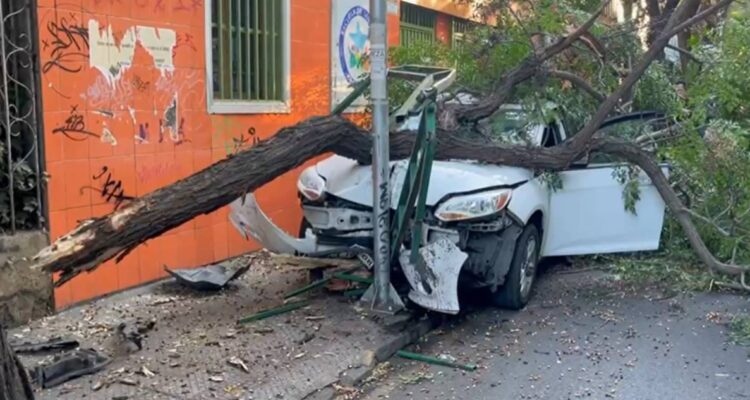Conductor impacta y derriba árbol a alta velocidad en Santiago: huyó y dejó auto abandonado