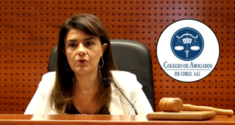 Colegio de Abogados “condena” hechos que vinculan a Sabaj y Hermosilla: abren investigación ética