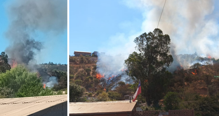 Contienen incendio forestal en sector Las Cabras de Villa Alemana: Carabineros detuvo a presunto autor
