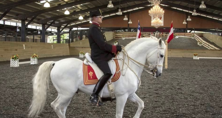 Coronel en retiro del ejercito es inhabilitado tras abuso sexual. Fue condenado por CNAD.