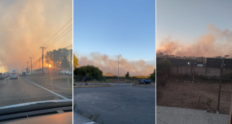 Declaran incendio forestal en cercanías de Avenida Costanera, frente a supermercado en Hualpén