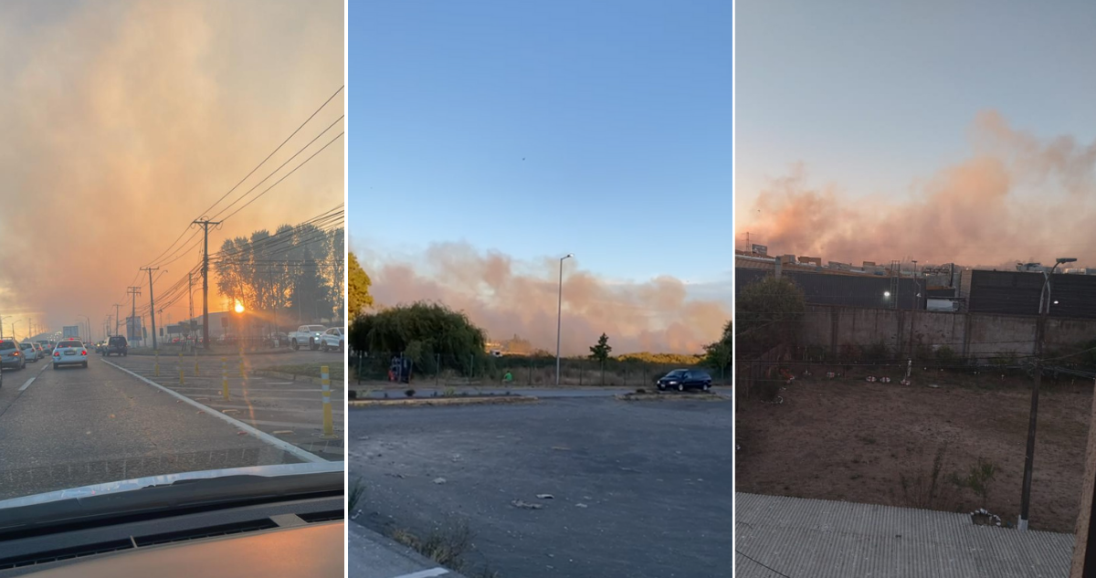 declaran-incendio-forestal-en-cercanias-de-avenida-costanera-frente-a-supermercado-en-hualpen.png