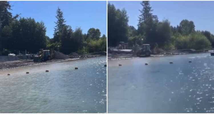 Denuncian movimientos de tierra con maquinaria a orillas del Lago Villarrica