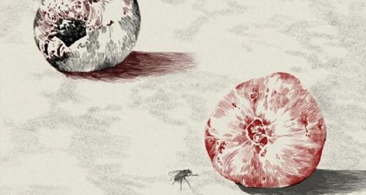 Detalle de la portada de Naturaleza muerta, de Rosario Elizalde, Editorial Hueders