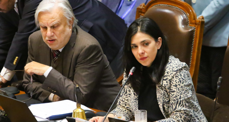 Cariola asegura que la Cámara está disponible a sesionar viernes y sábado por la reforma de pensiones