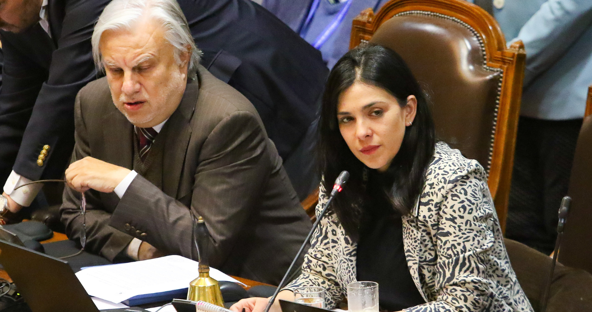 Cariola asegura que la Cámara está disponible a sesionar viernes y sábado por la reforma de pensiones