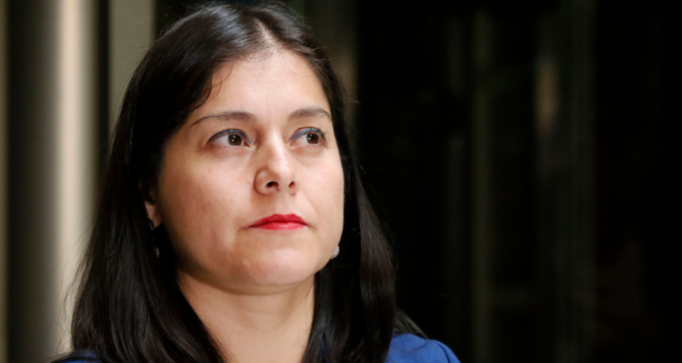 diputada karen medina