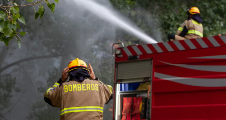 Ñuble: declaran Alerta Roja en San Carlos por incendio forestal en Torresillas