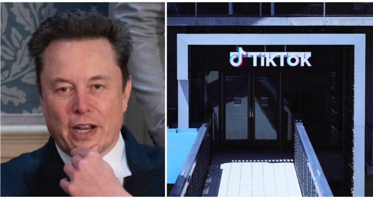 “Pura ficción”: En China desmienten idea de vender TikTok a Elon Musk y cuestionan lío legal con EEUU