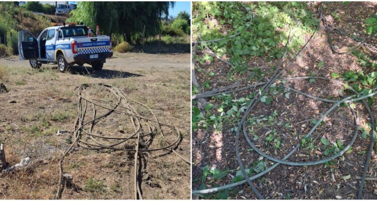 Encuentran cables robados a EFE: ilícito impidió la salida del Tren Corto Laja