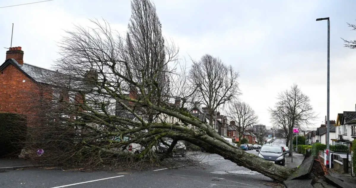 Tormenta Eowyn deja un muerto, hogares sin luz y ráfagas de viento históricas en Irlanda y Escocia