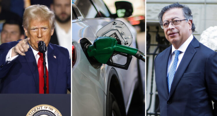 Petróleo crudo, café y flores: los productos de Estados Unidos le compra a Colombia