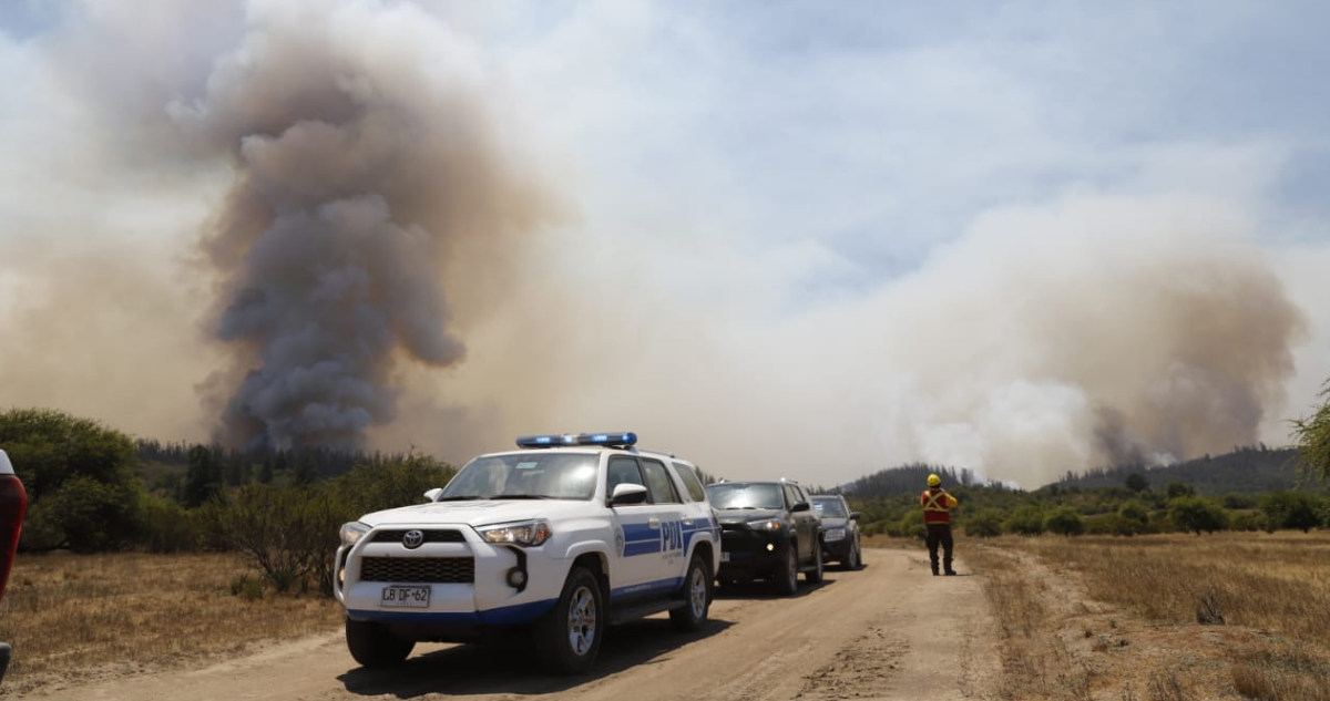 Fiscalía y PDI indagan el incendio forestal que dejó a tres brigadistas fallecidos en Los Sauces