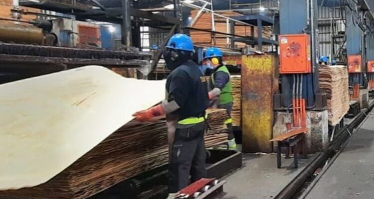 Forestal León – Facebook