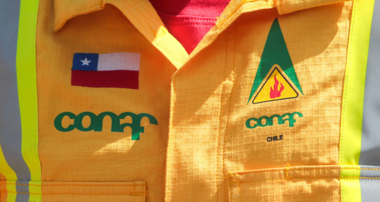 Región de Valparaíso: funcionarios de la Conaf habrían recibido ataques y amenazas de muerte