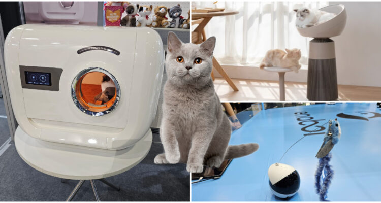 Gadgets para gatos en CES 2025