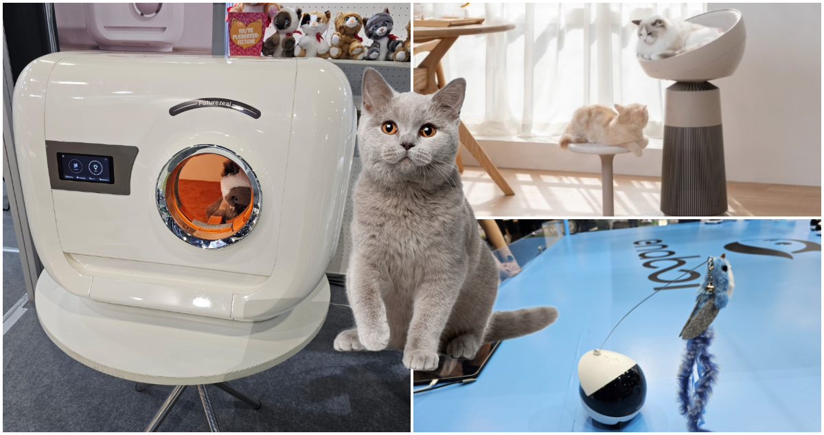 Gadgets para gatos en CES 2025