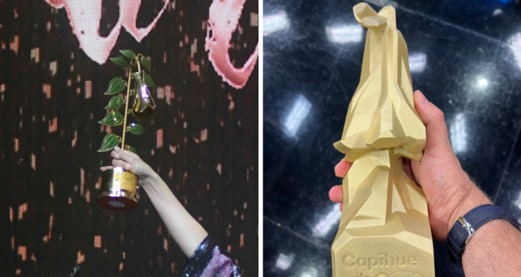 Diferencia en el galardón de los Copihue de Oro