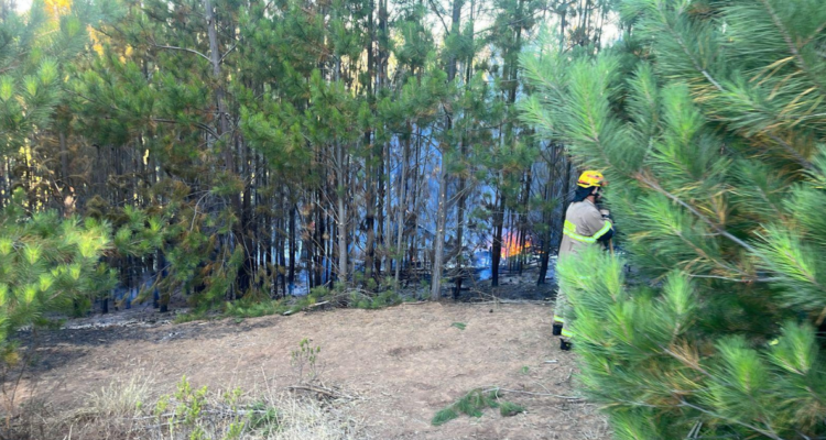 RRSS | IEC-180 CONTROL STGO (X)