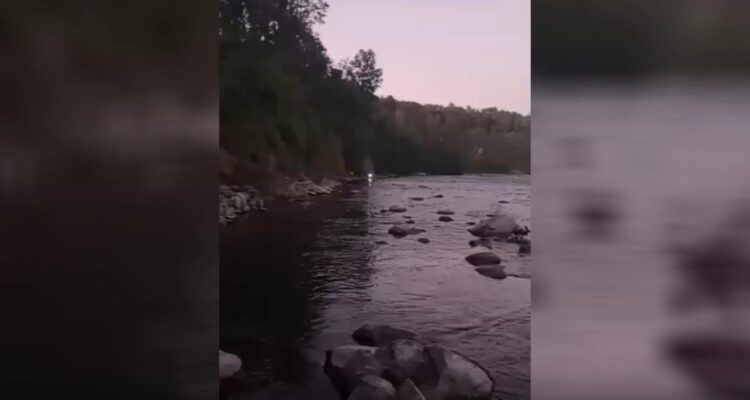 Hombre muere tras ser arrastrado por la corriente en río San Pedro de la comuna de Los Lagos