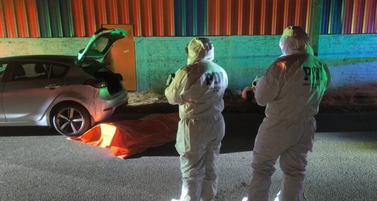 Asesinan a adulto mayor cuando alimentaba perros de la calle en Viña del Mar