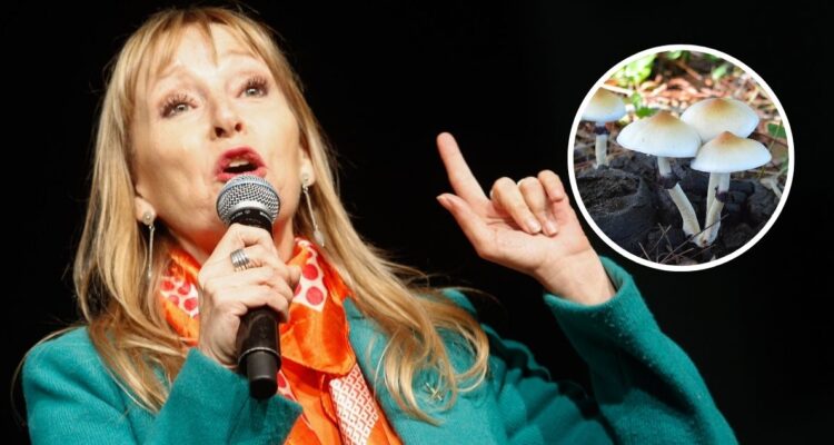 Qué son y que efecto tienen los hongos psilocibes alucinógenos que consume la diputada chilena Ana María Gazmuri y qué efectos tienen en la salud.