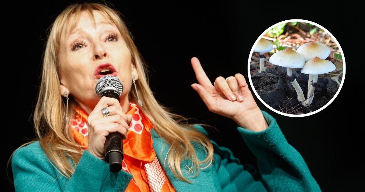 Qué son y que efecto tienen los hongos psilocibes alucinógenos que consume la diputada chilena Ana María Gazmuri y qué efectos tienen en la salud.