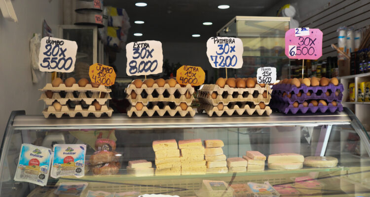 INE reportan alza de producción de huevos en Chile y existencia de 14,4 millones de gallinas ponedoras