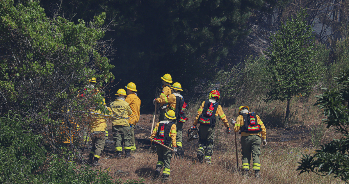 Gobierno promueve realización de 11 mil kilómetros de cortafuegos para prevenir incendios forestales