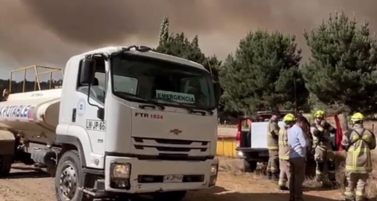 Incendio forestal en Cholchol